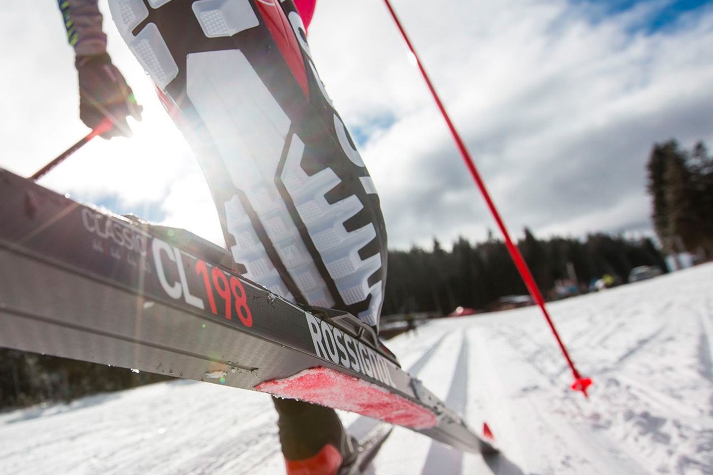 Skiglede med felleski