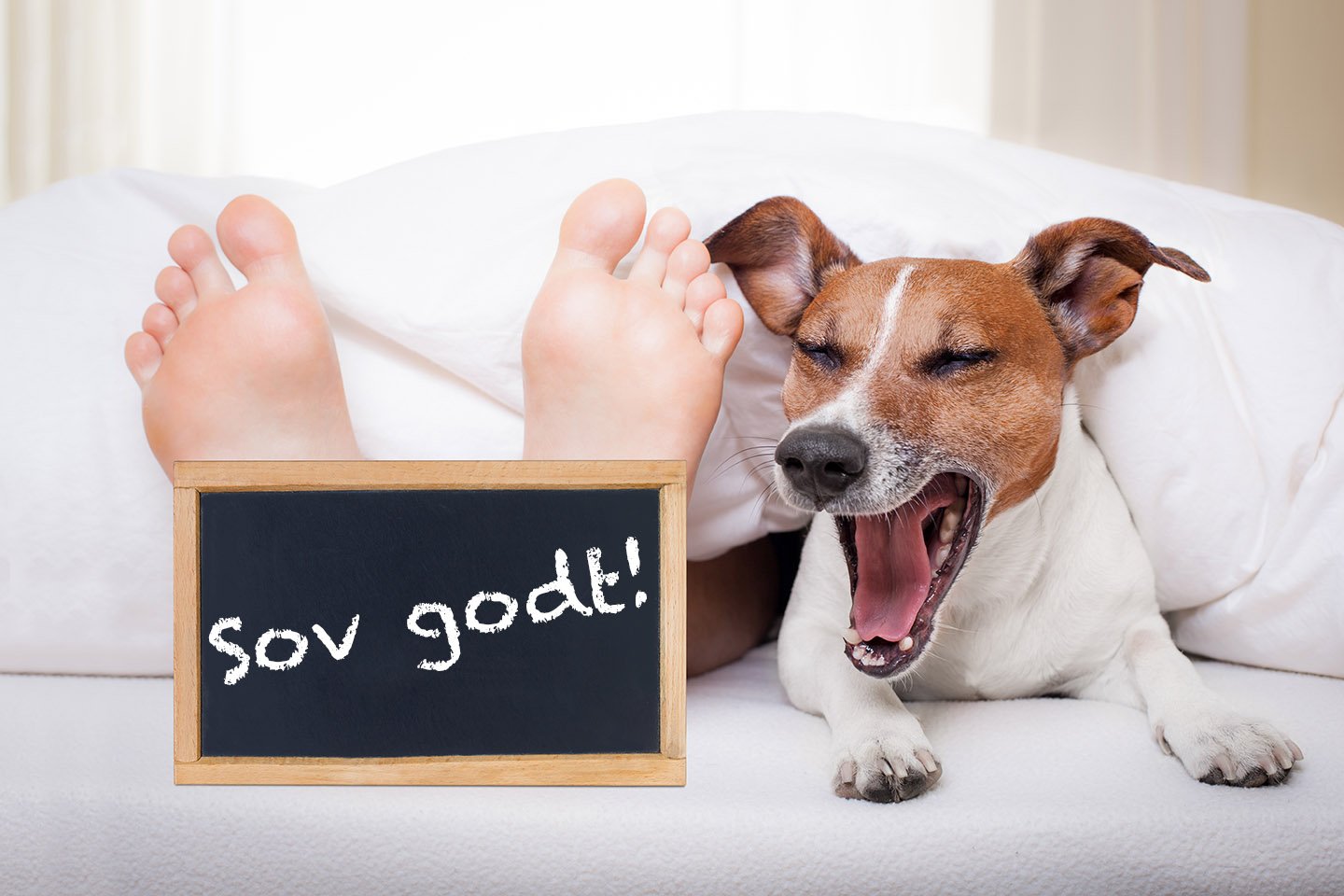 3 tips for god søvn