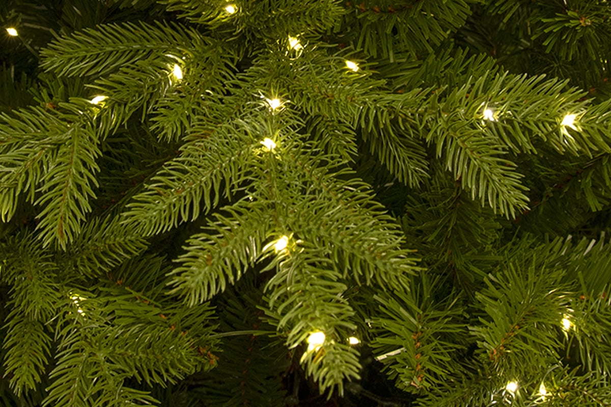 Frodig og tett - formstøpte PE-tips gjør at barnålene ser ekte og friske ut