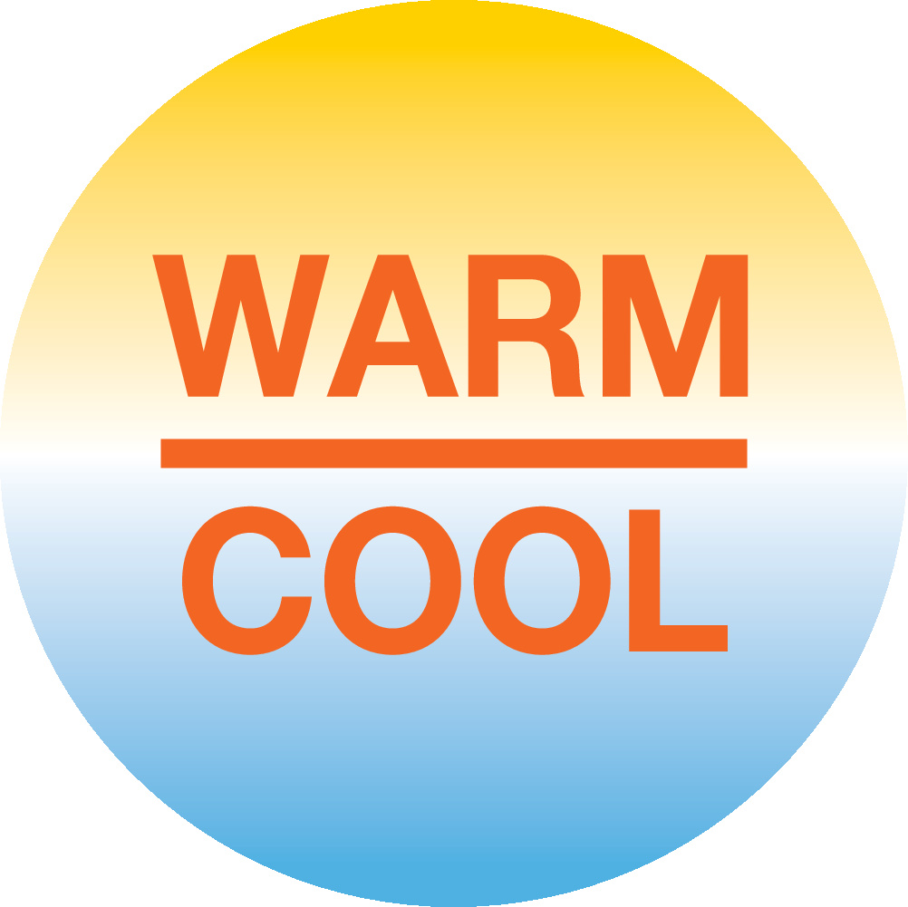 asset-9103583_LDV_Icon_Color_WARM_-2B_COOL_CMYK.jpg