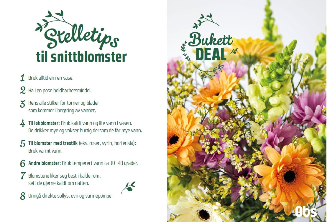 Stelletips snittblomster.jpg