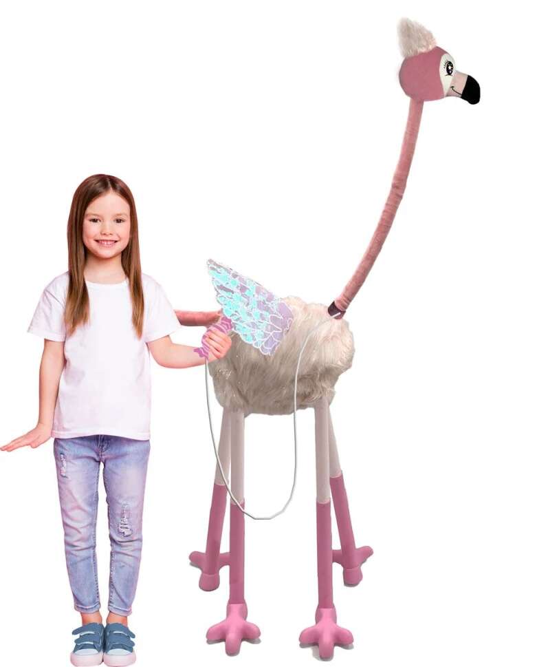 Little Longlegs Bubblemingo