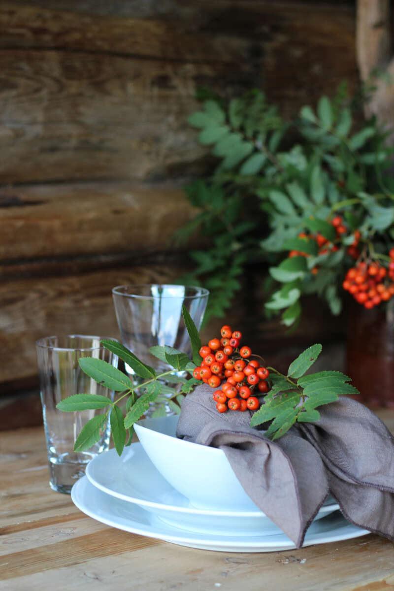 Porsgrund Porselem Sense tallerken 28cm 4pk