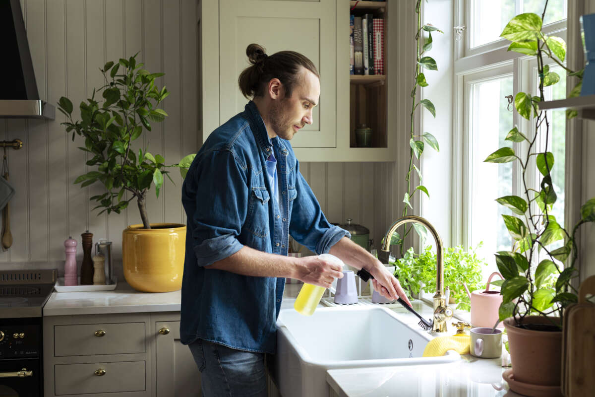 Sini detalj rengjøringsbørste