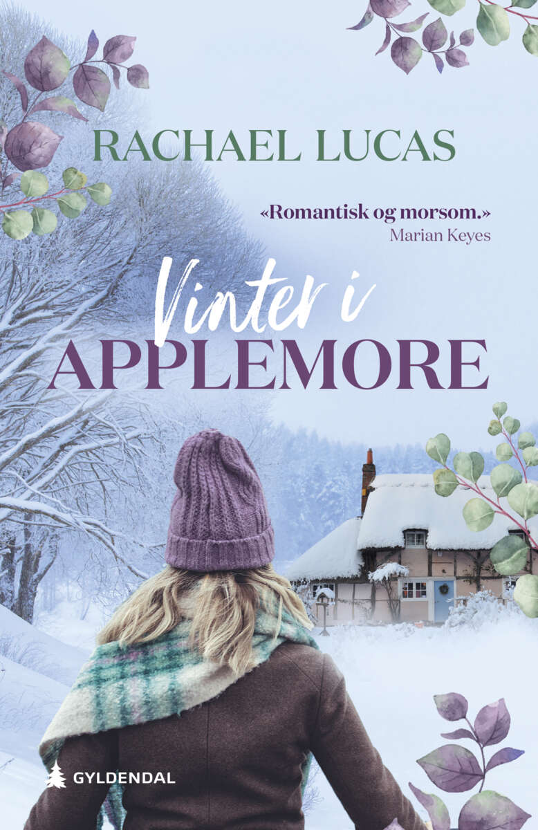 Rachael Lucas: Vinter i Applemore