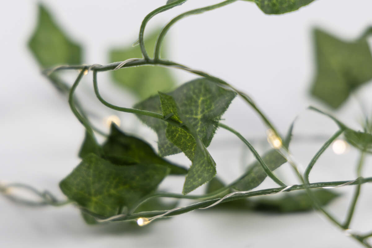 NORD lyslenke med eføyblader 1,8m