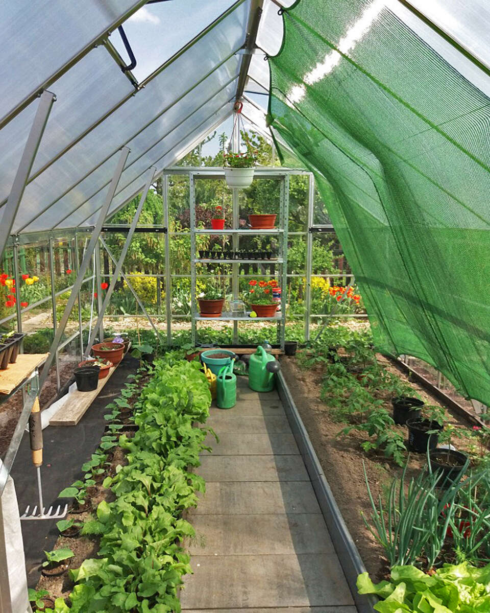 Palram - Canopia Balance drivhus 8,9 m²