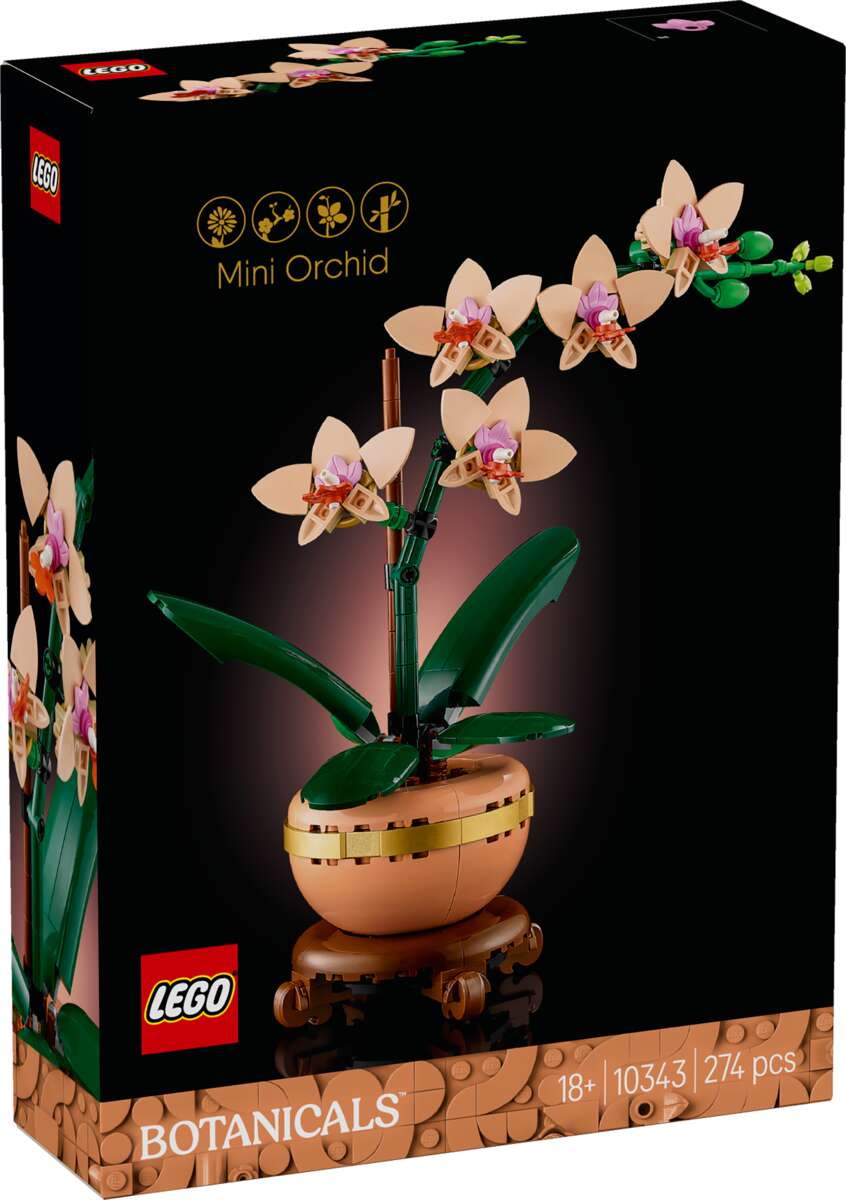 LEGO® Botanicals Miniatyrorkidé 10343