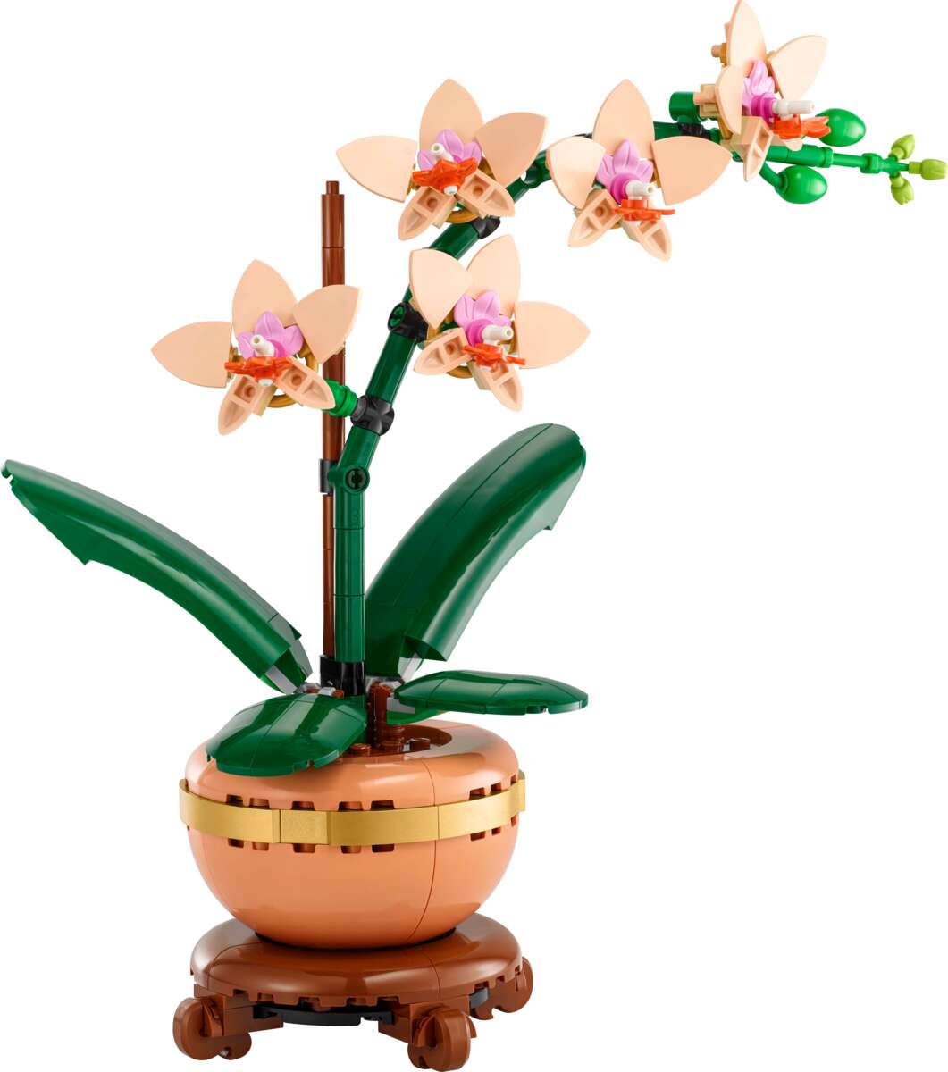 LEGO® Botanicals Miniatyrorkidé 10343