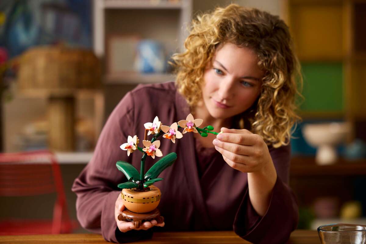 LEGO® Botanicals Miniatyrorkidé 10343