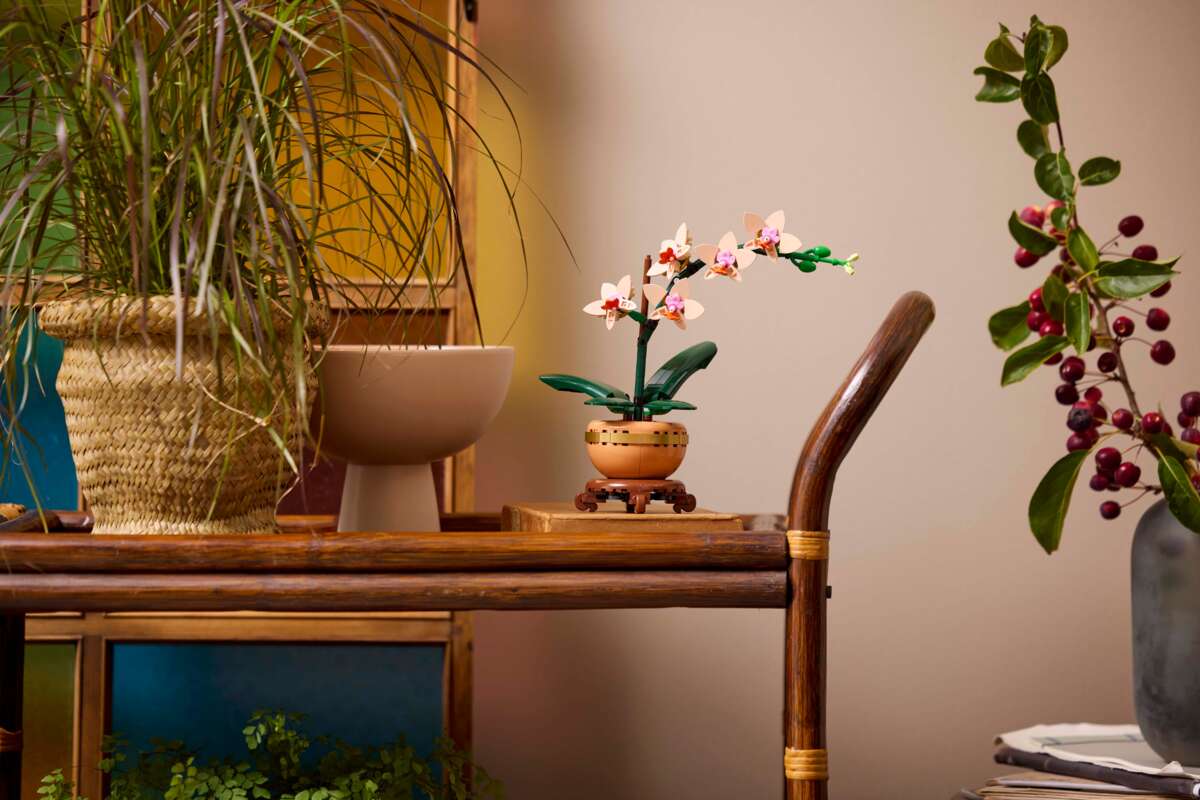 LEGO® Botanicals Miniatyrorkidé 10343