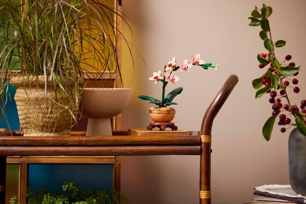 LEGO® Botanicals Miniatyrorkidé 10343
