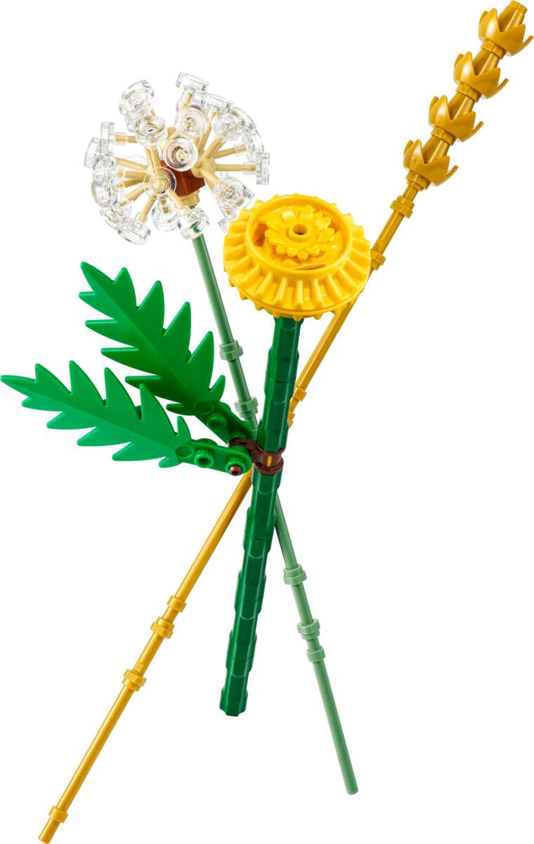 LEGO® Botanicals Engblomster 30701