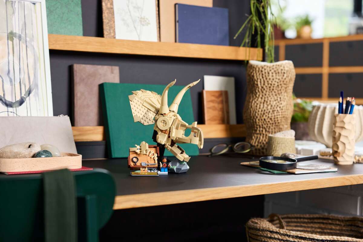 LEGO® Jurassic World Dinosaurfossiler: triceratops-hodeskalle 76969