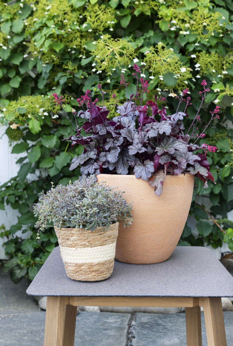 Odle Fagerstrand potte