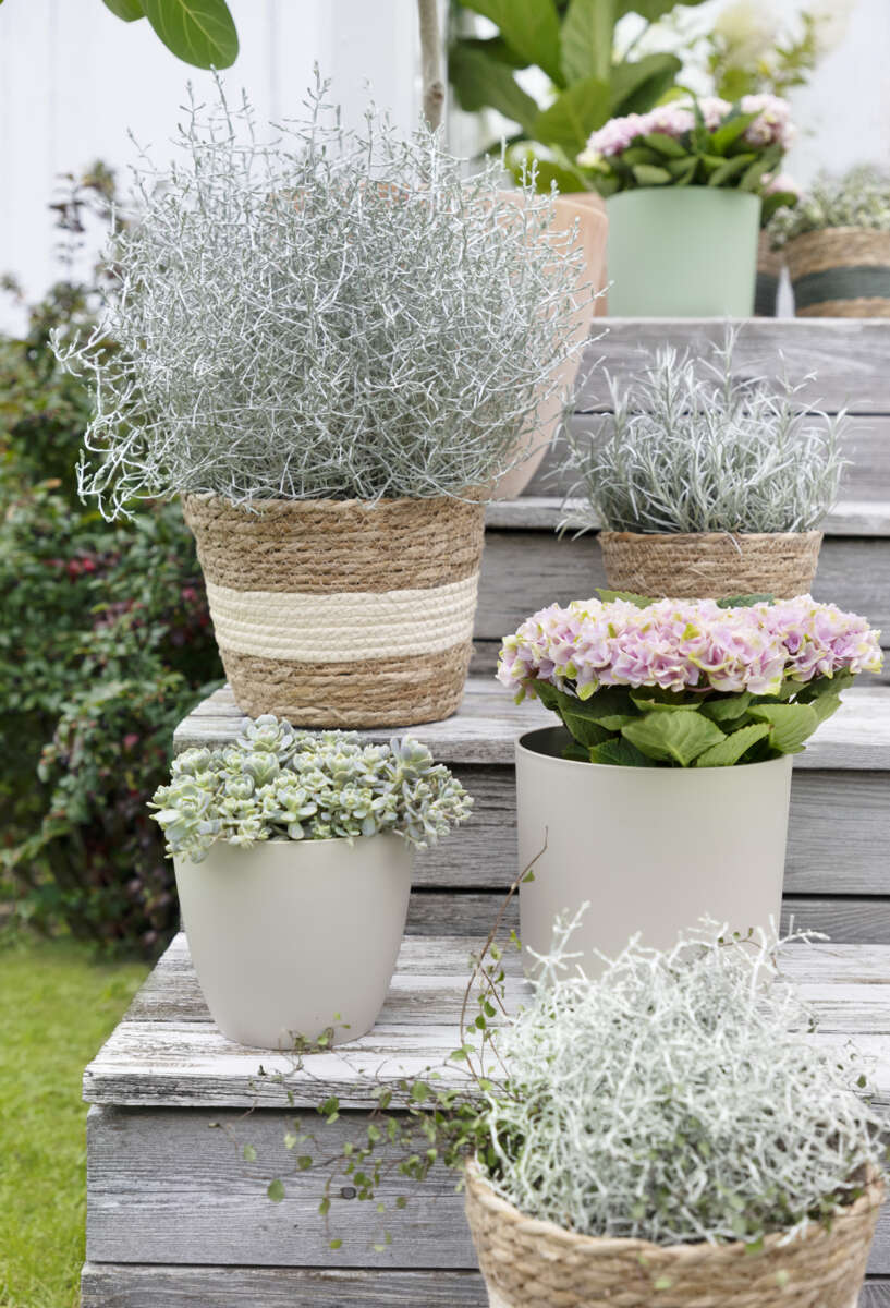 Hvaler flettet potte