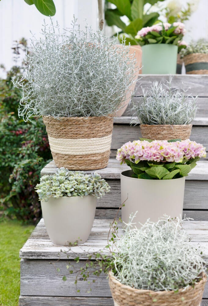 Hvaler flettet potte