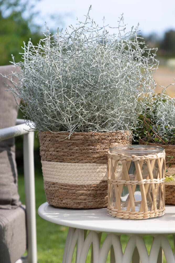 Hvaler flettet potte