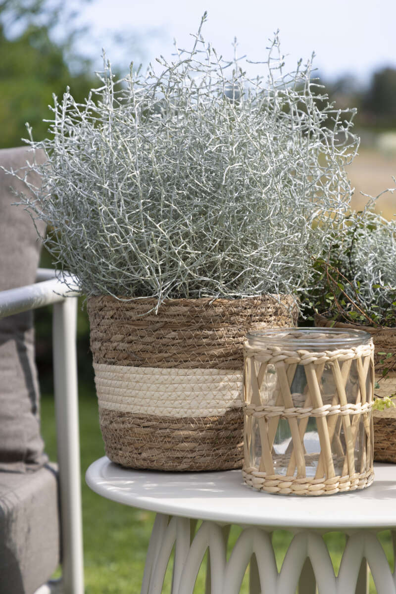 Hvaler flettet potte