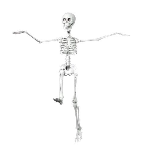 Halloween skjelett