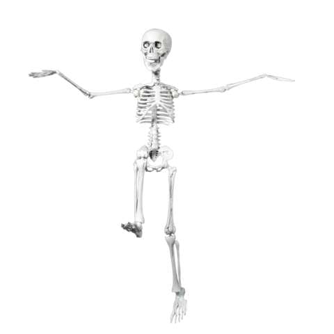 Halloween skjelett 40 cm