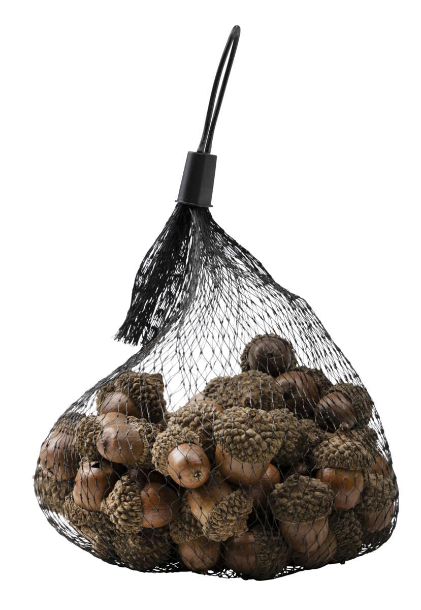 Eikenøtter dekor 200g