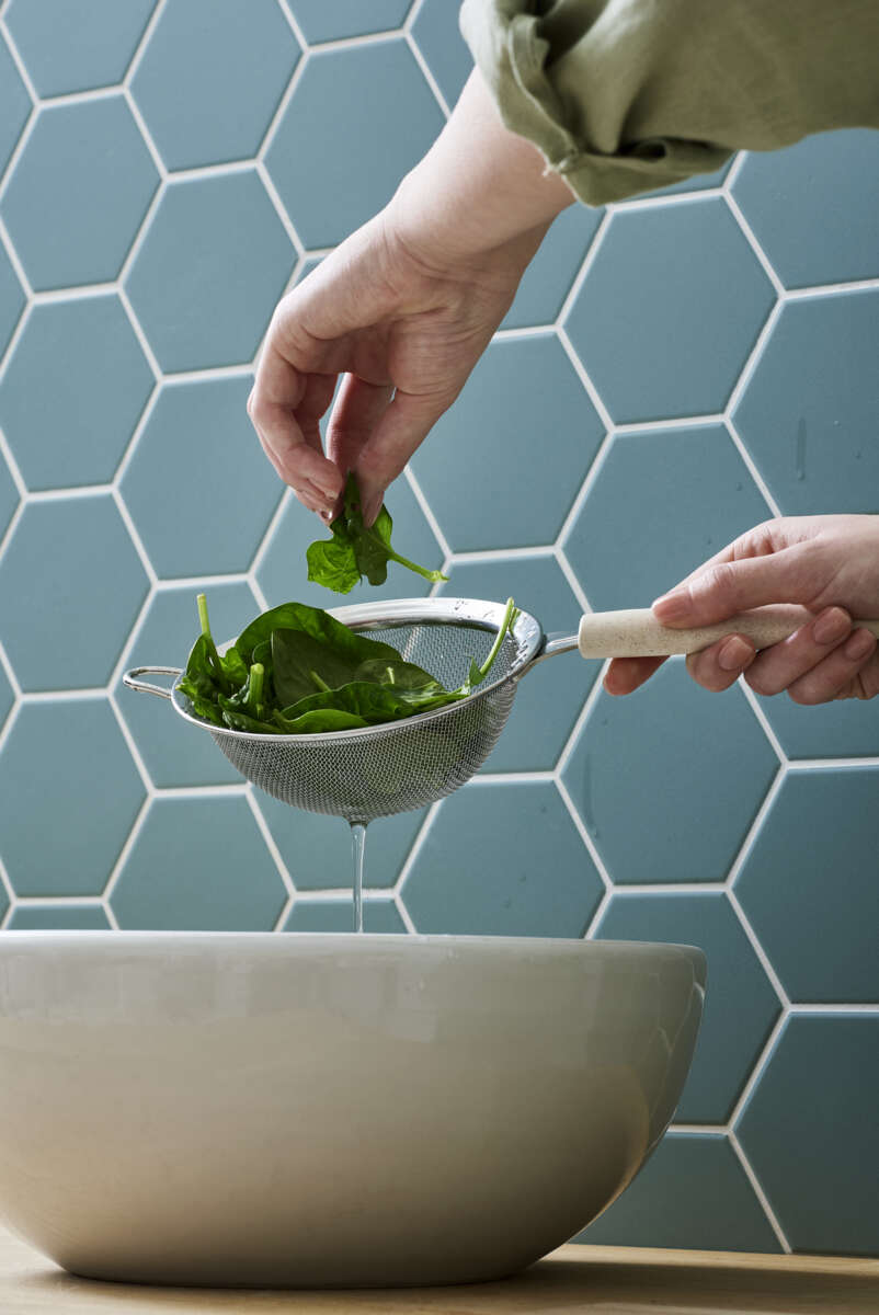 GastroMax™ Bio sil