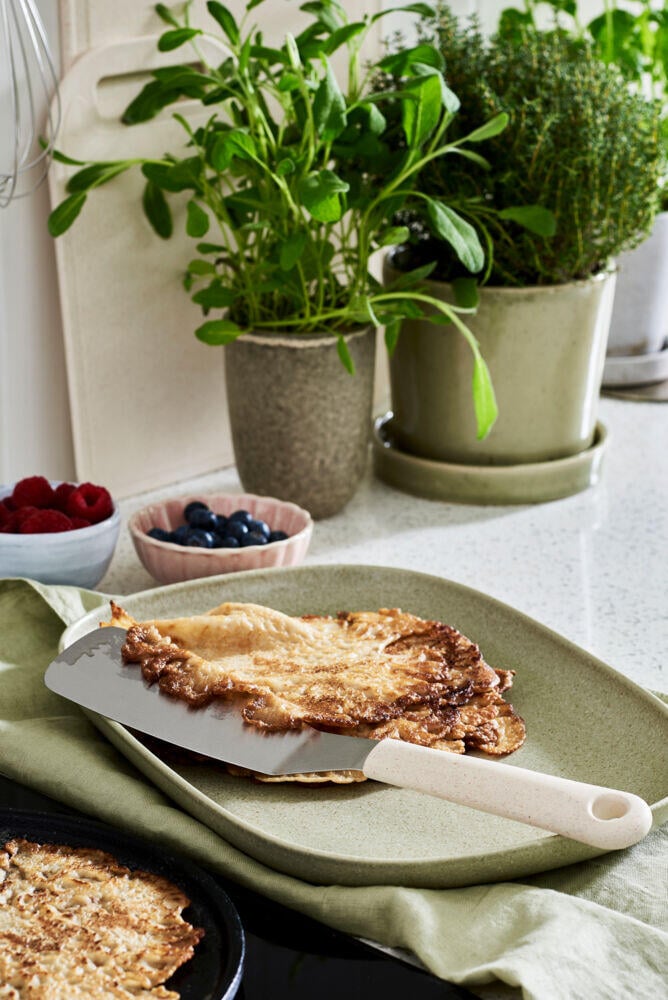 GastroMax Bio Stekespade