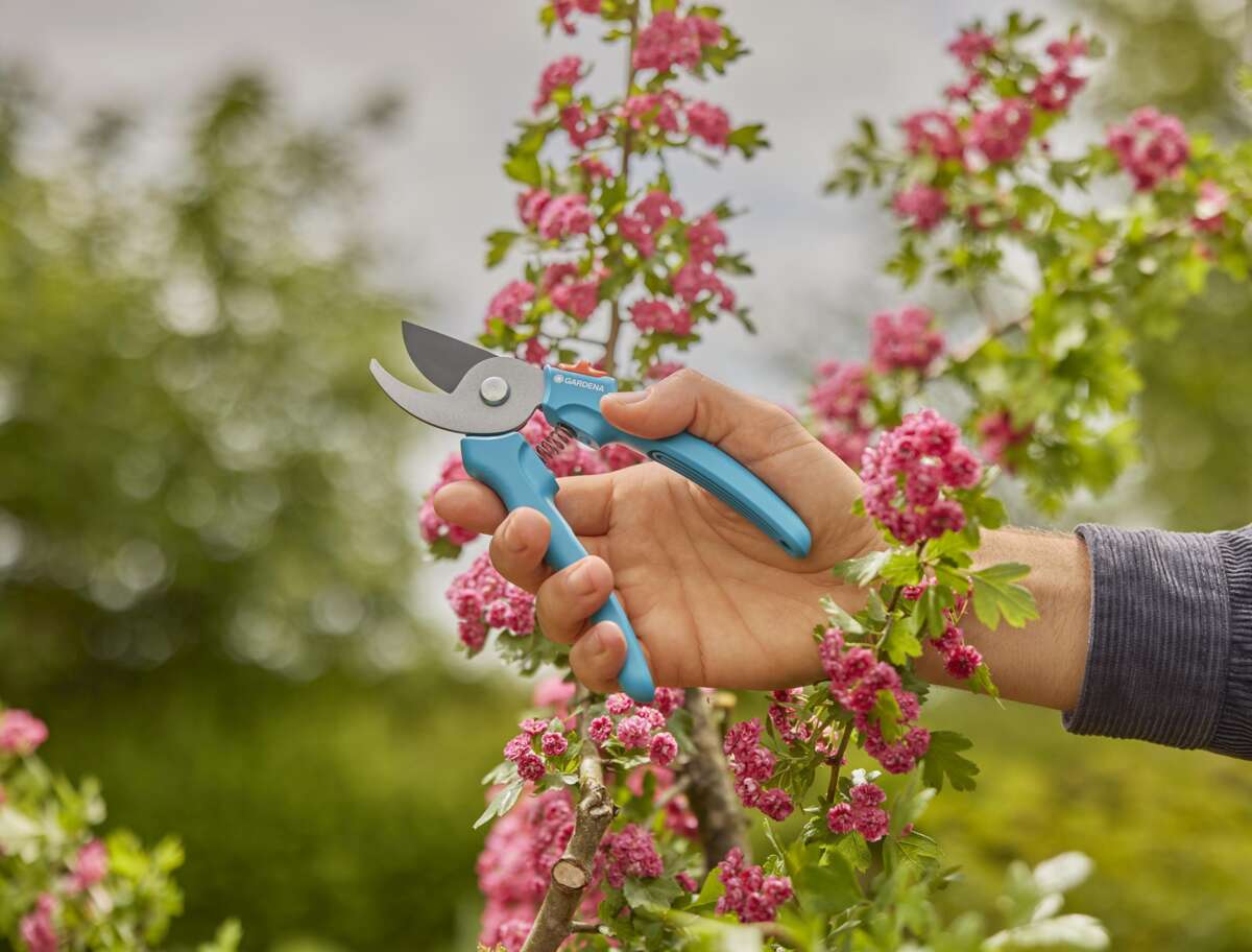 GARDENA EasyCut beskjæringssaks