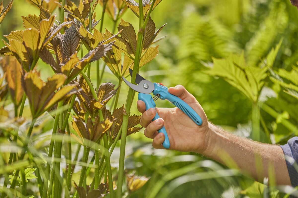 GARDENA EasyCut beskjæringssaks