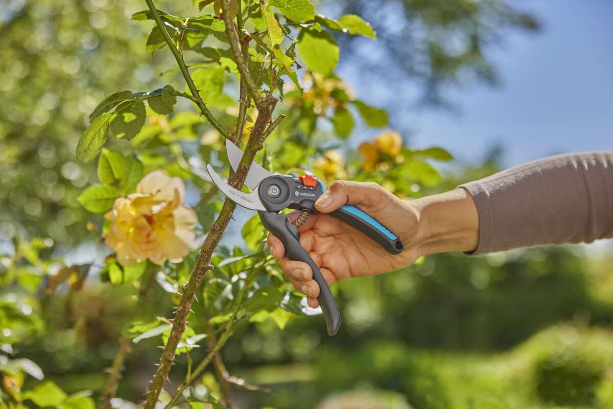 GARDENA PremiumCut Flex beskjæringssaks