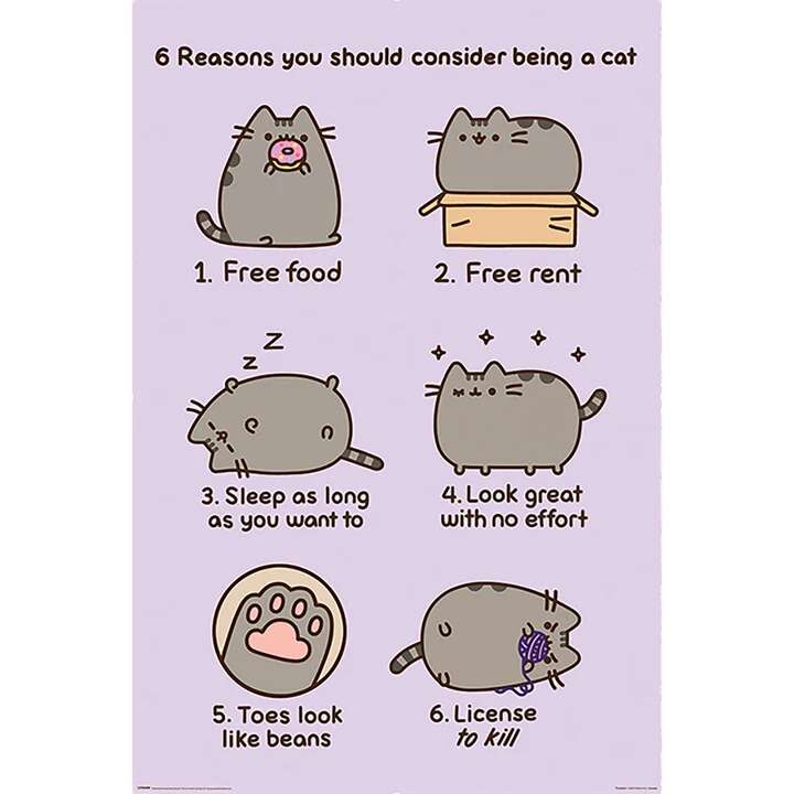 Pusheen® the Cat (Reasons To Be A Cat) plakat