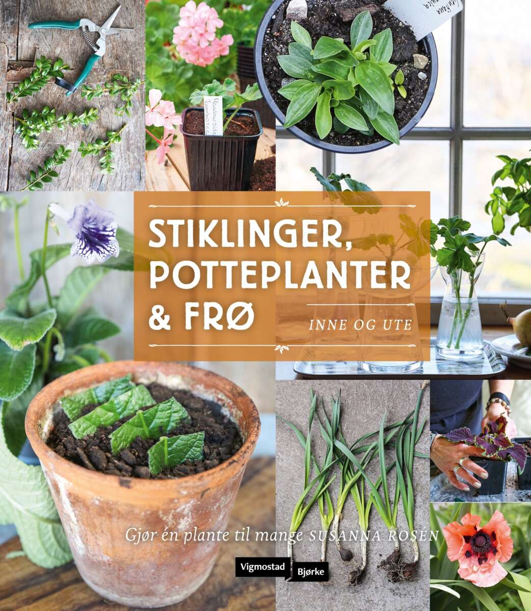 Stiklinger, potteplanter og frø - inne og ute