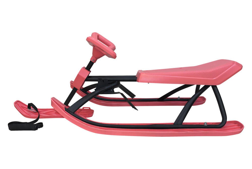 Alprace Bladerunner R2 snowracer