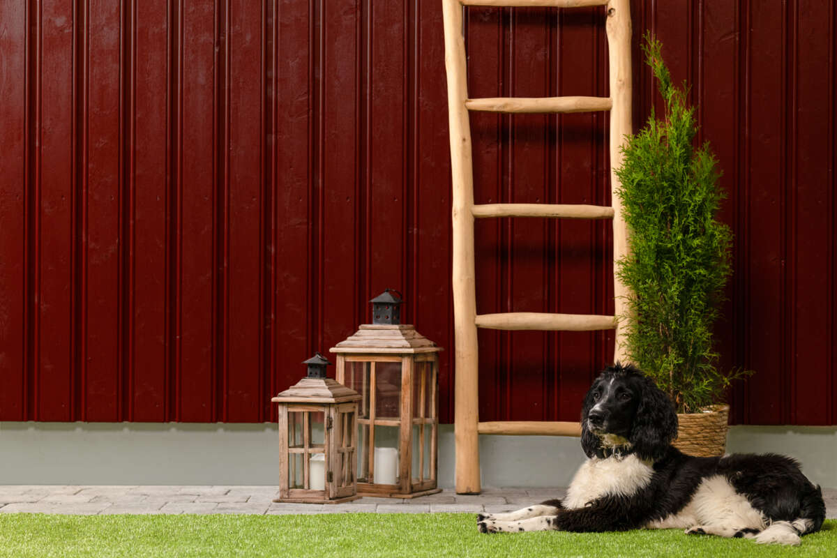 Butinox Futura dekkbeis