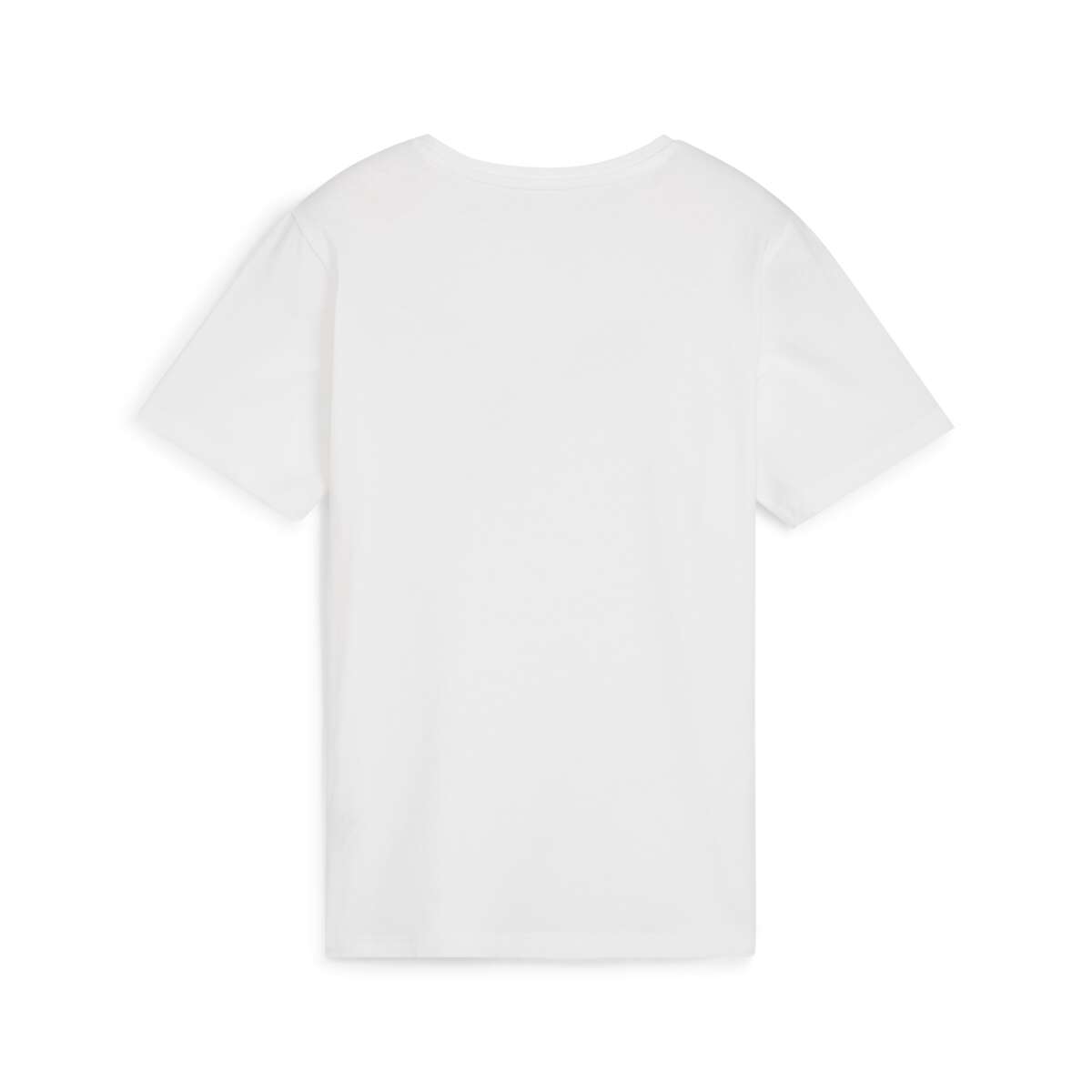 Puma TeamRISE logo junior