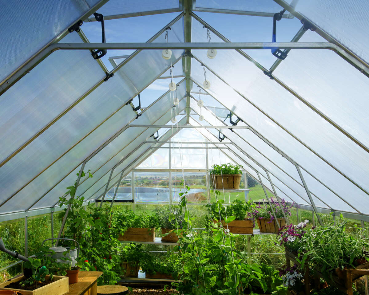 Palram - Canopia Balance drivhus 14,3 m²