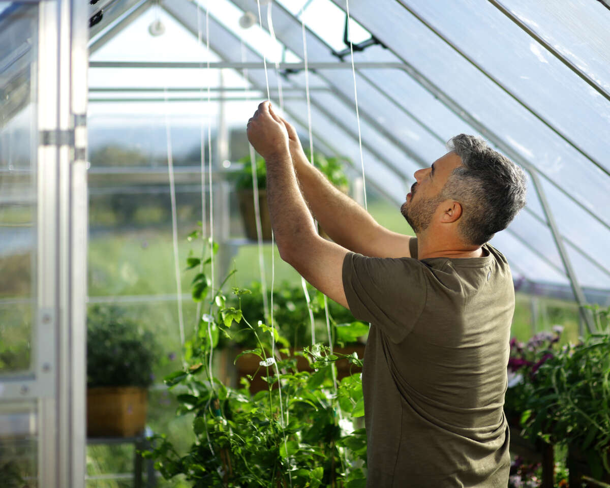 Palram - Canopia Balance drivhus 21,5 m²