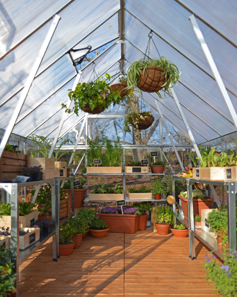 Palram - Canopia Balance drivhus 14,8 m²