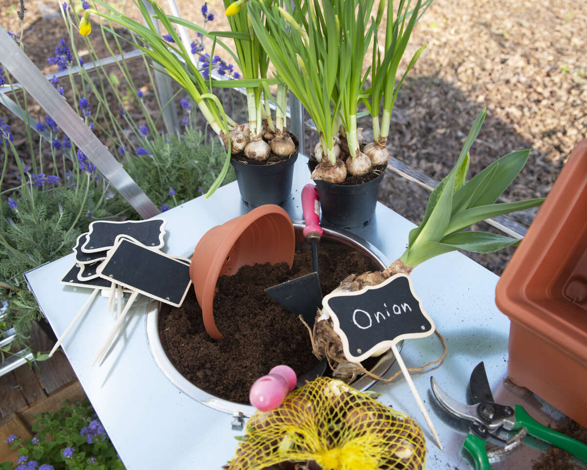 Palram - Canopia Balance drivhus 11,8 m²