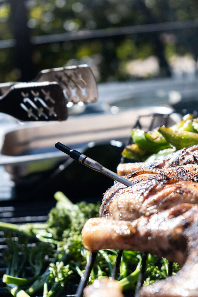 FCC trådløst termometere med stasjon