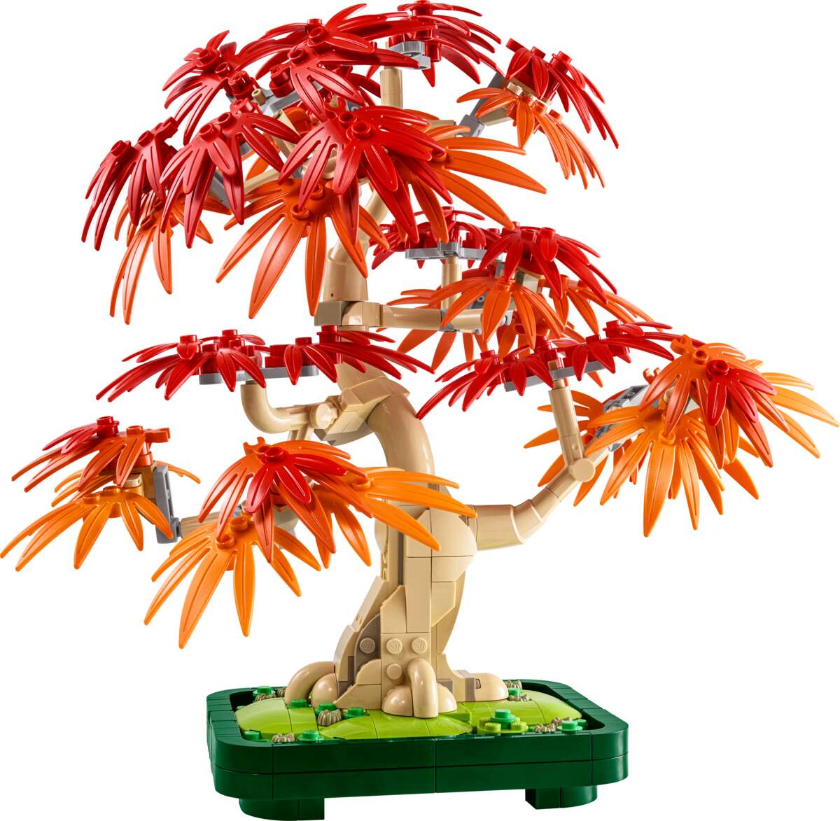 LEGO® Botanicals Bonsaitre: Japansk lønn 10348