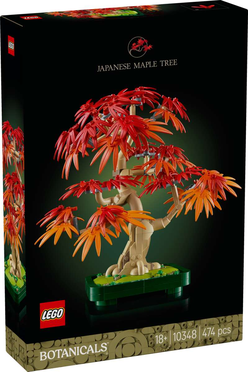 LEGO® Botanicals Bonsaitre: Japansk lønn 10348