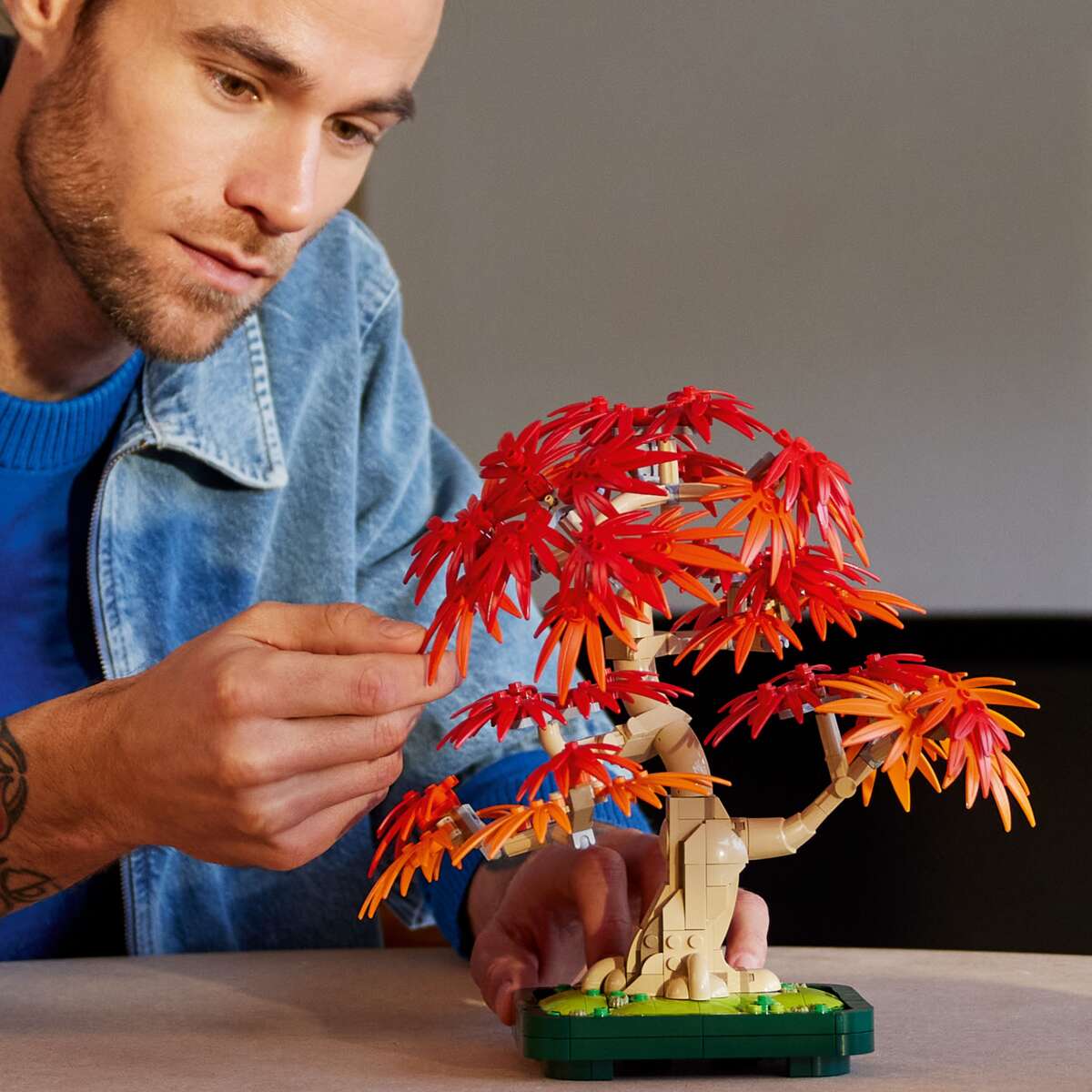 LEGO® Botanicals Bonsaitre: Japansk lønn 10348