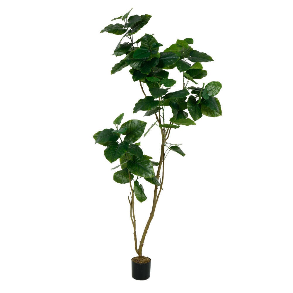 Fikus kunstig plante