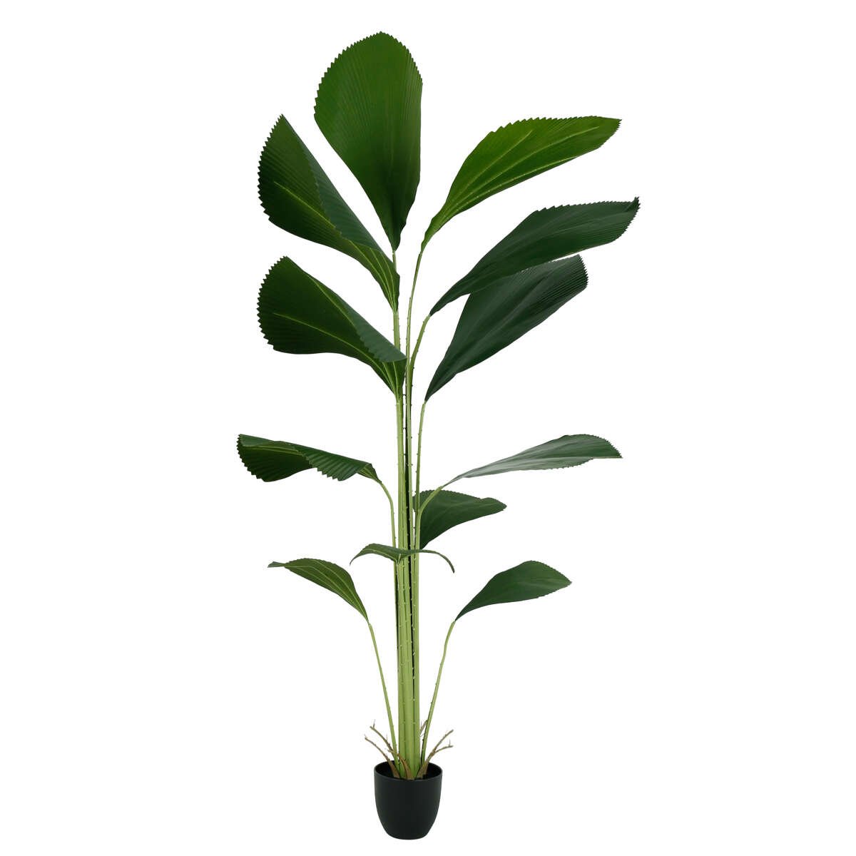 Licuala grandis kunstig plante