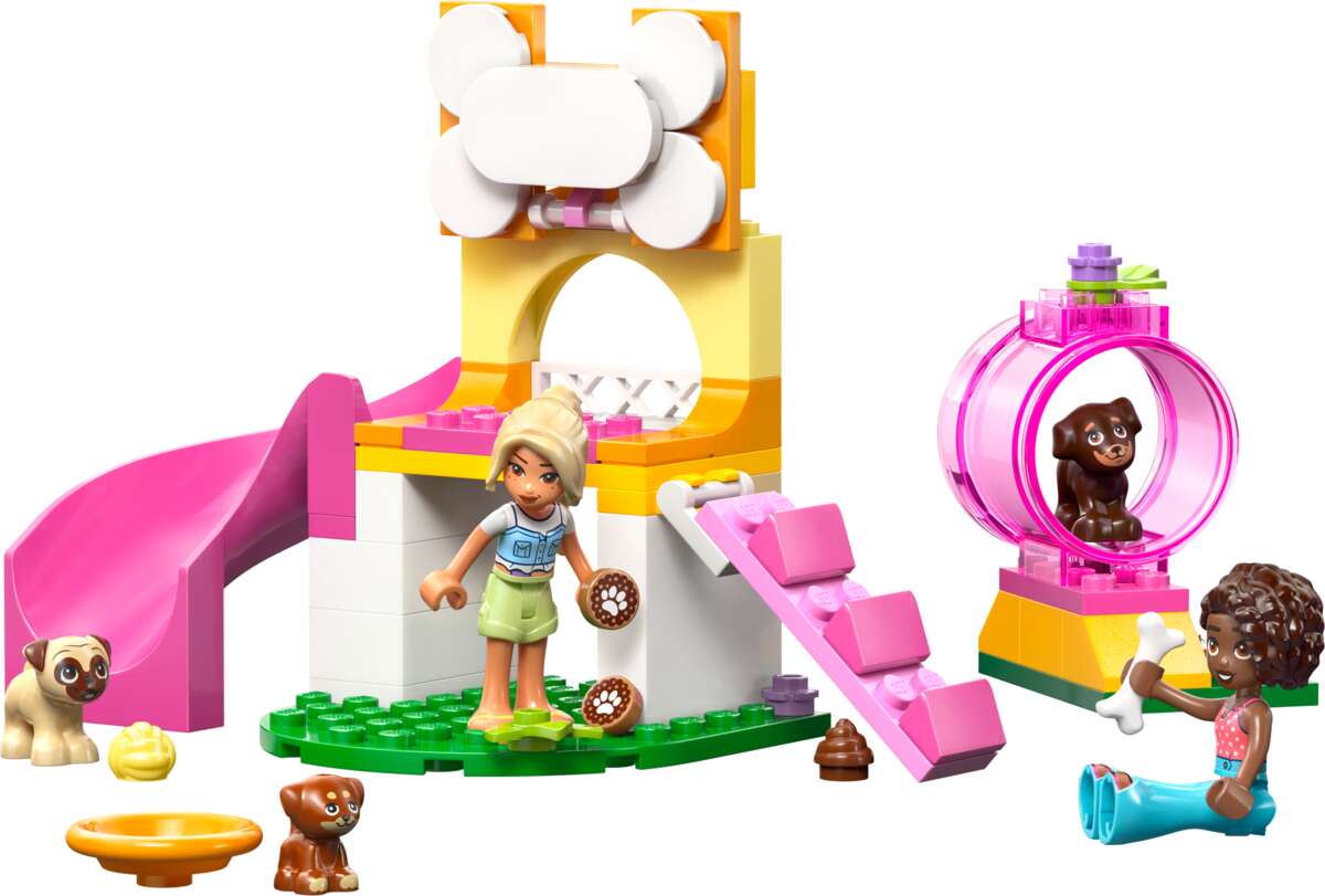 LEGO® Friends Valpelekeplass 42665