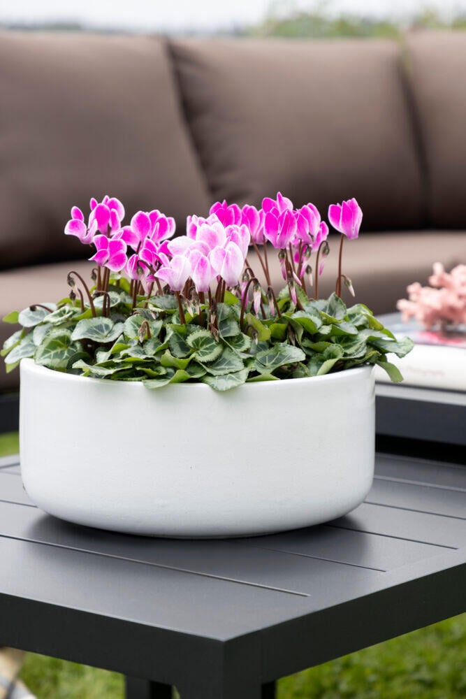 Røst sofagruppe sort og brune vanntette putetrekk