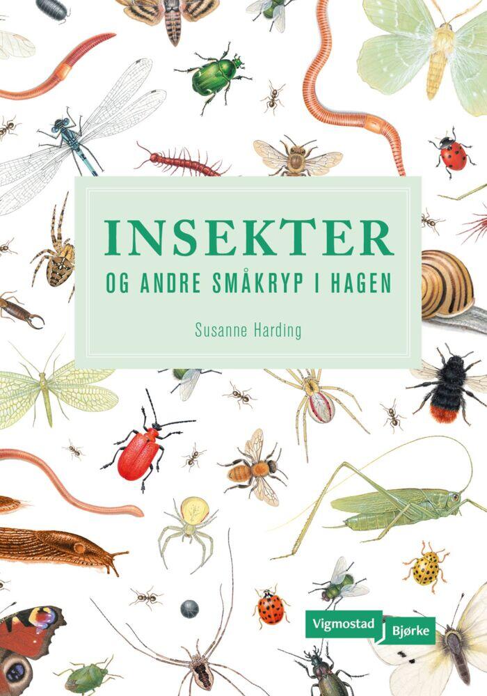 Susanne Harding: Insekter og andre småkryp i hagen