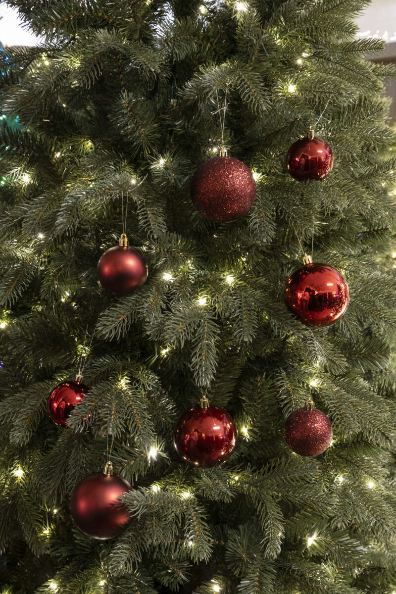 Juel julekuler, 41pk